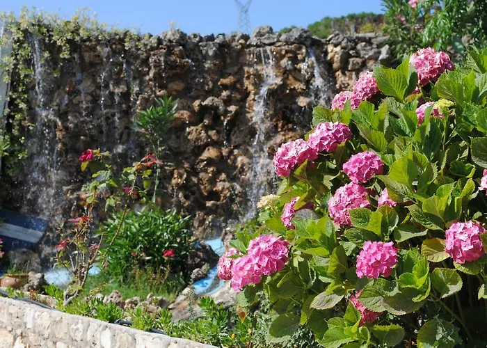 Vervekis * 费斯卡尔德宏