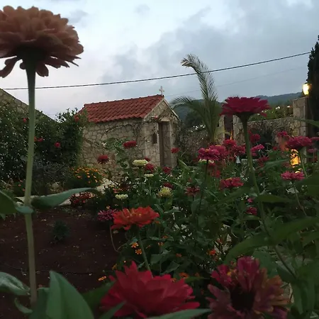 Апартаменты Vervekis