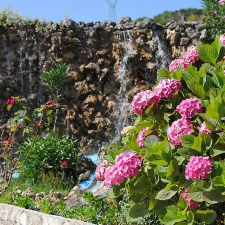 Vervekis * Фискардон