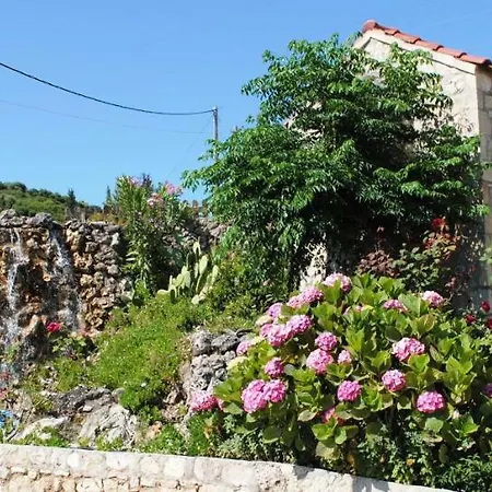 Vervekis * Фискардон